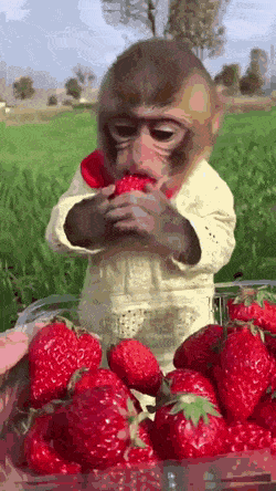 Acid Gifdump, April 7 (25 gifs)