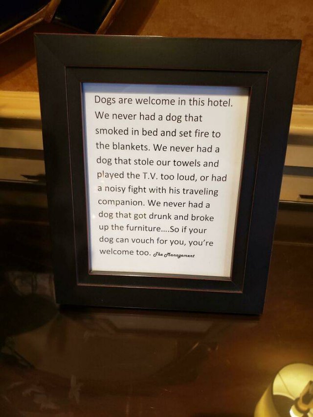 Hotel Creativity Around The World (49 pics)