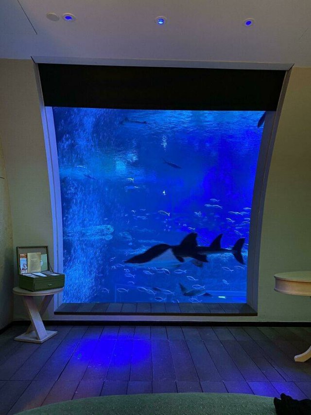 Hotel Creativity Around The World (49 pics)