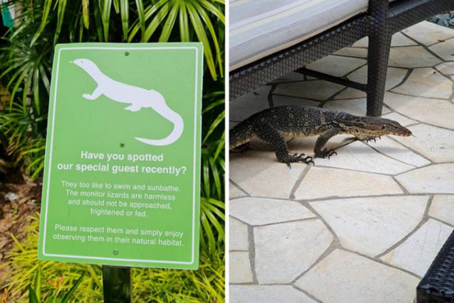 Hotel Creativity Around The World (49 pics) Hotel Creativity Around The World (49 pics)