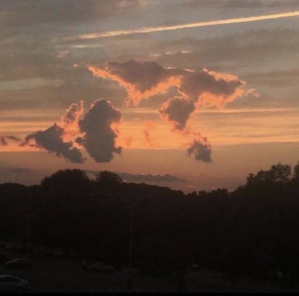 Awesome Things (47 pics)