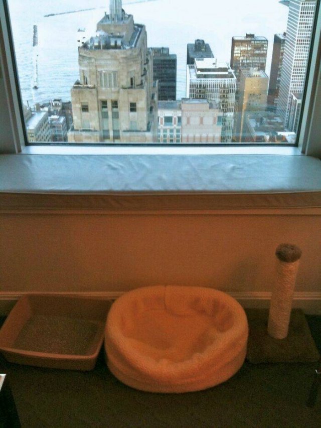 Hotel Creativity Around The World (49 pics)