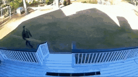 Acid Gifdump, April 8 (25 gifs)
