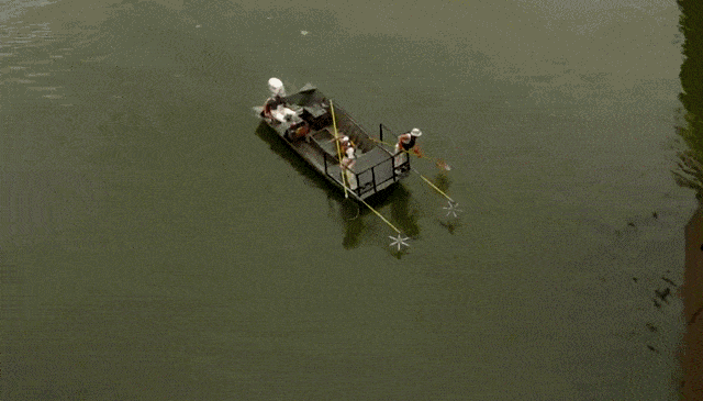 Acid Gifdump, April 8 (25 gifs)