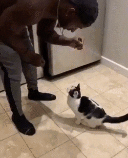 Acid Gifdump, April 8 (25 gifs)
