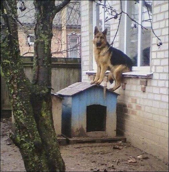 Acid Picdump 1 (81 pics)
