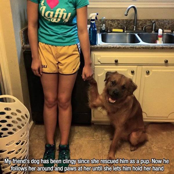 Acid Picdump 1 (81 pics)