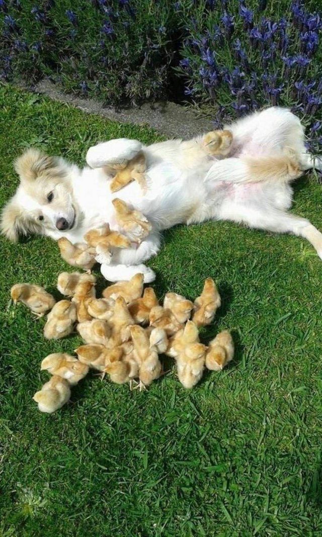 Acid Picdump 1 (81 pics)