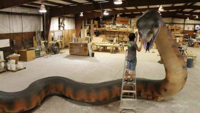 Acid Picdump 1 (81 pics)