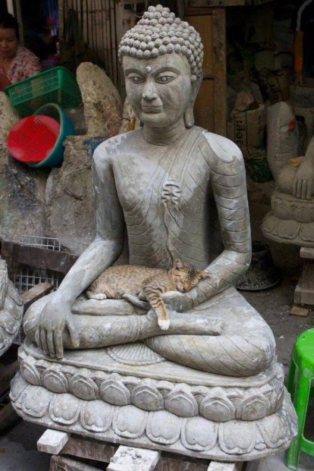 Acid Picdump 1 (81 pics)