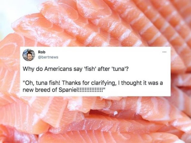 Why Do Americans Always Say Such things? (28 pics)