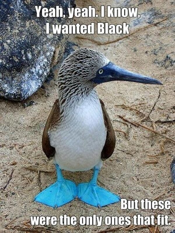 So True (32 pics)