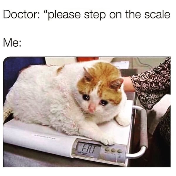 So True (32 pics)