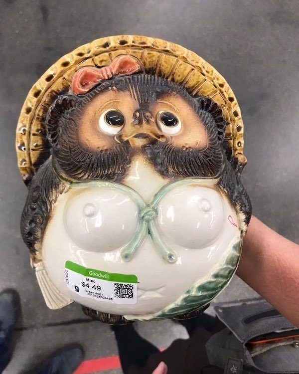 Weird Thrift Shop Finds (27 pics)