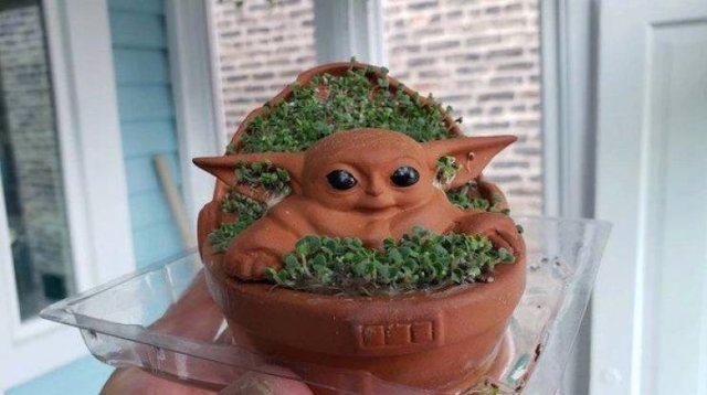Acid Picdump 2 (86 pics)
