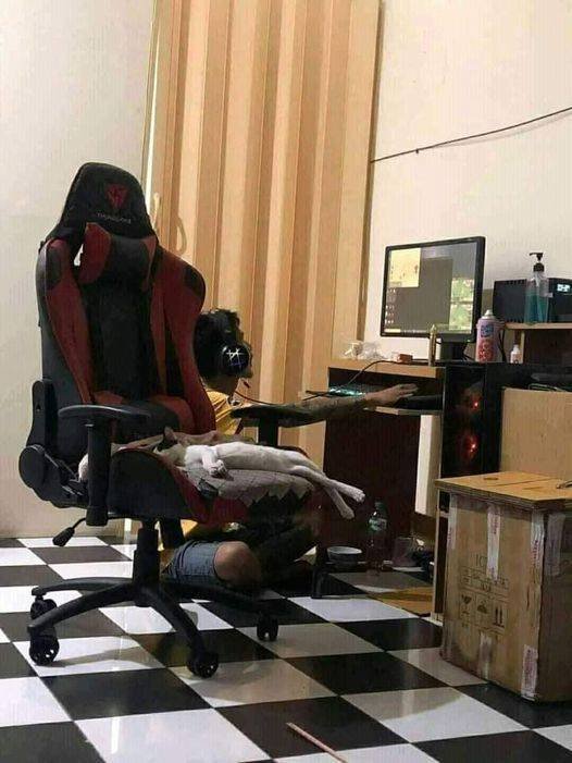 Acid Picdump 2 (86 pics)