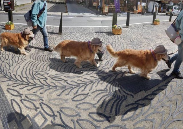 Acid Picdump 2 (86 pics)