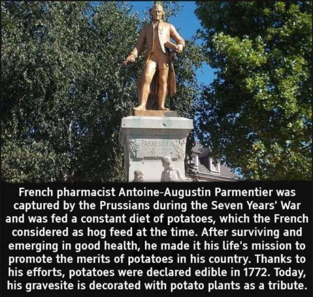 Acid Picdump 2 (86 pics)