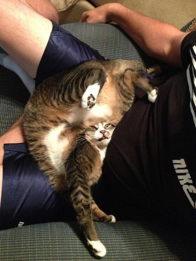 Acid Picdump 2 (86 pics)