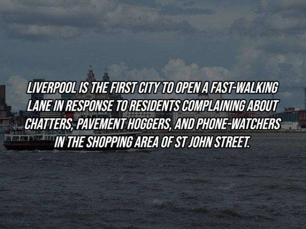 Intriguing Facts (19 pics)