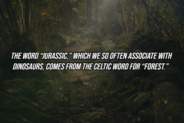 Intriguing Facts (19 pics)