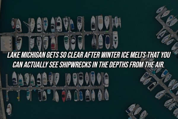 Intriguing Facts (19 pics)