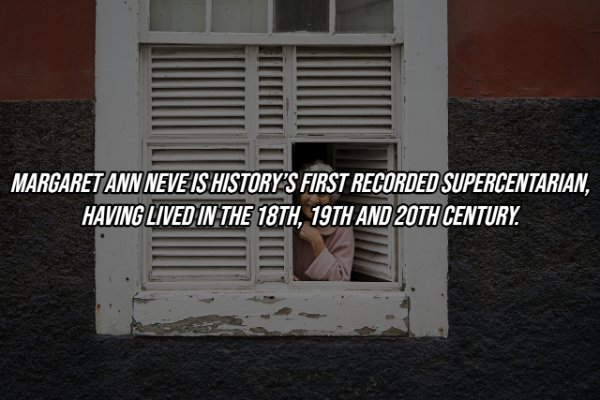 Intriguing Facts (19 pics)