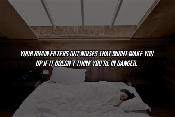 Intriguing Facts (19 pics)