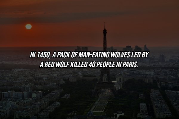 Intriguing Facts (19 pics)