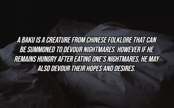Intriguing Facts (19 pics)
