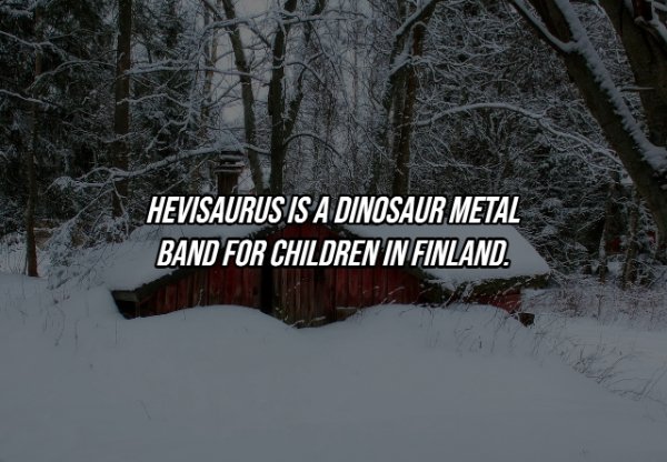 Intriguing Facts (19 pics)