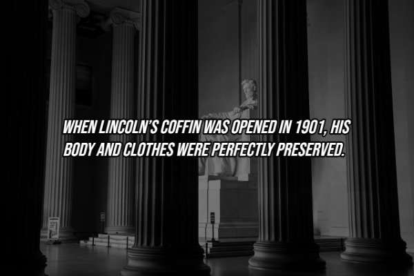 Intriguing Facts (19 pics)