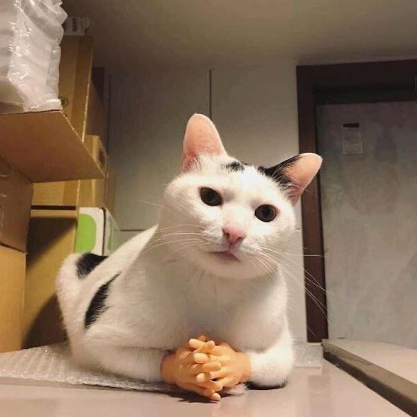 Almost Nailed It (35 pics)