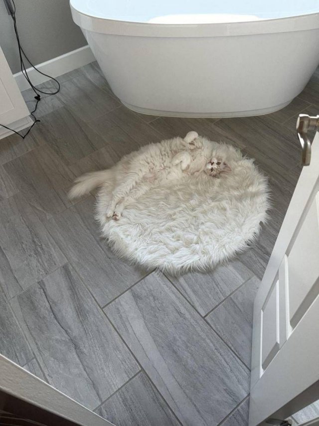 Acid Picdump 1 (88 pics)
