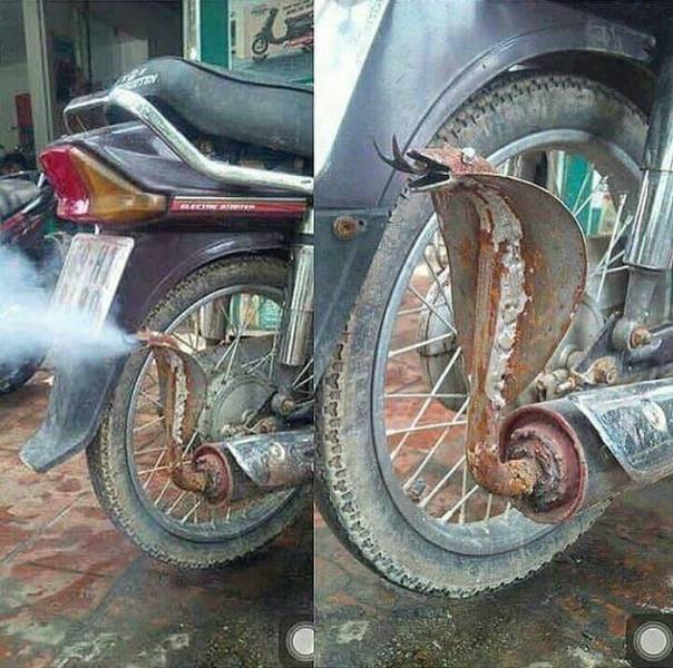 Acid Picdump 1 (88 pics)