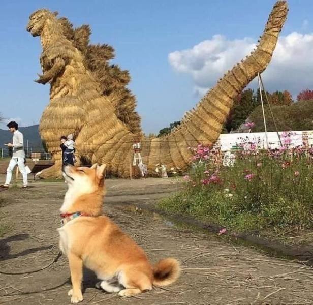 Acid Picdump 1 (88 pics)