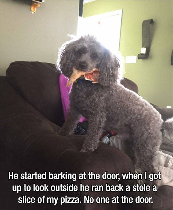 Wholesome Stories (56 pics)