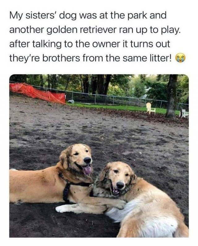 Wholesome Stories (56 pics)