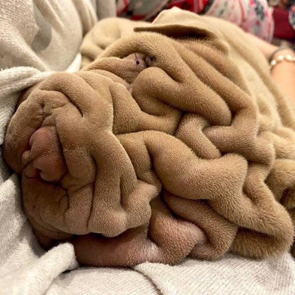 Acid Picdump 2 (79 pics)