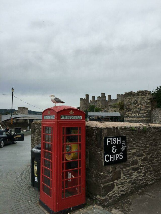 Humor About Great Britain (45 pics)