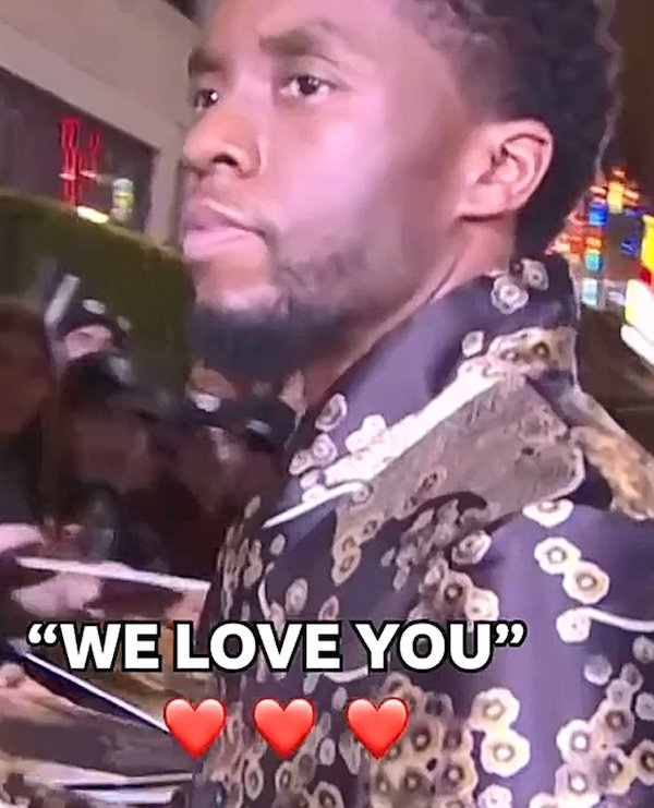 What Fans Usually Shout To A Movie Stars (20 pics)