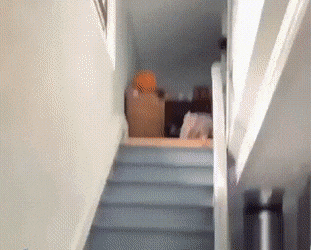 Acid Gifdump, April 13 (25 gifs)