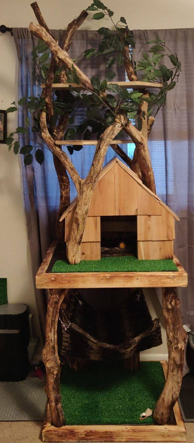 These People Will Do Everything For Their Pets (26 pics)