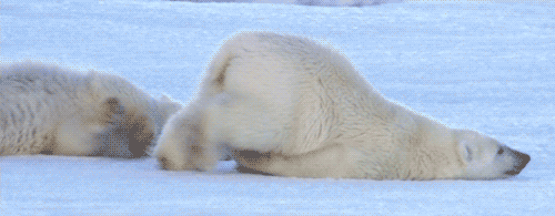 Locals Tell About Things That Always Surprise Tourists (22 gifs)