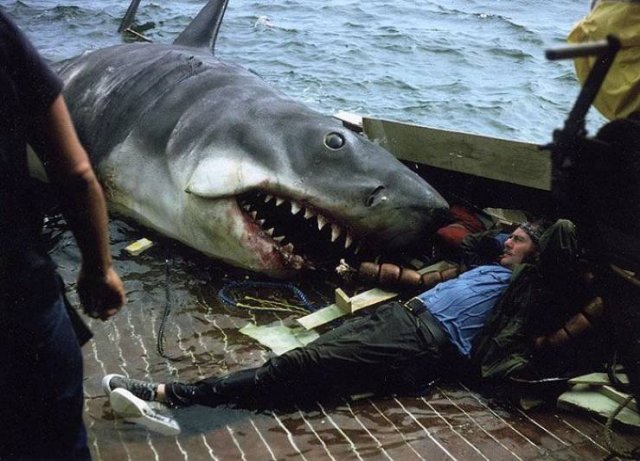 Awesome Pictures (54 pics)