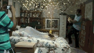 Acid Gifdump, April 14 (25 gifs)