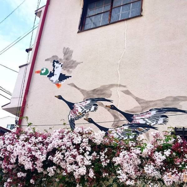 Great Street Art (60 pics)