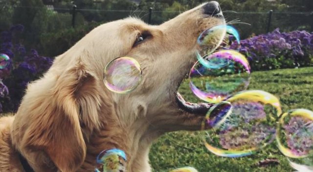 Acid Picdump 2 (80 pics)
