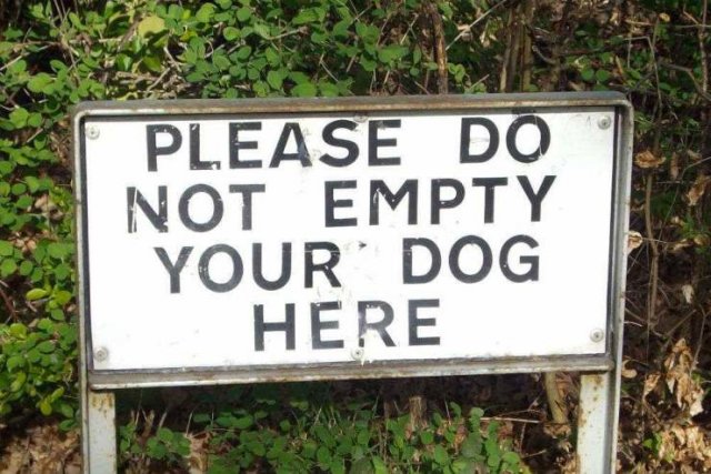 Acid Picdump 2 (80 pics)