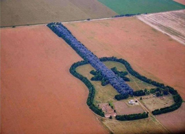 Acid Picdump 2 (80 pics)
